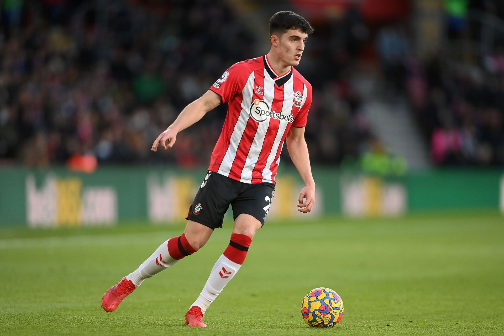 Southampton v Brighton & Hove Albion - Premier League